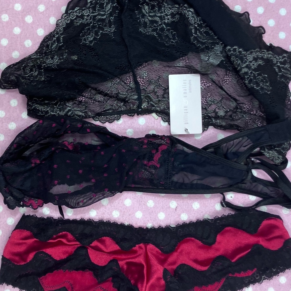 Morgan Taylor 2 panties 1 bra NWOT